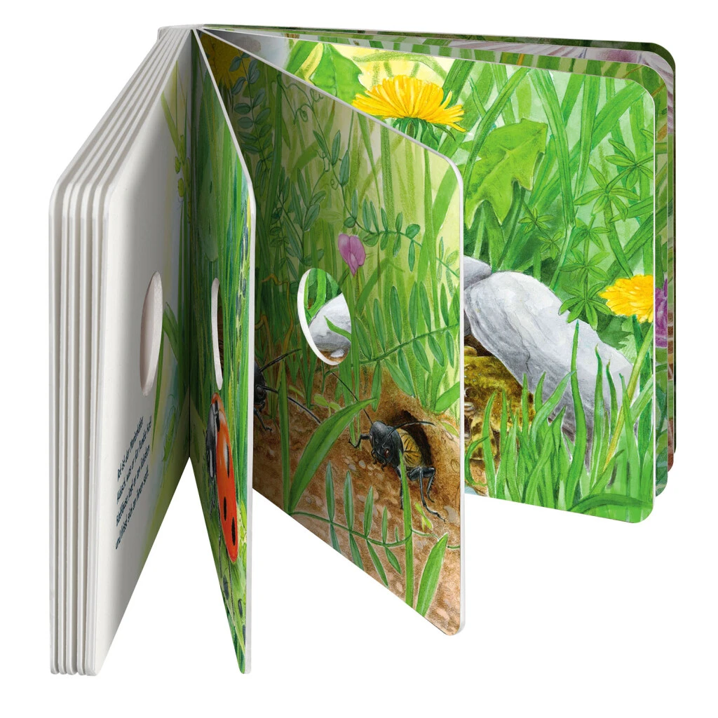 Guck Mal Auf Die Wiese 5 Guck Mal Auf Die Wiese – Bild 3