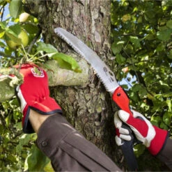 Klappsäge Felco 604 -Saemereien klappsaege felco 6044