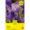 Blaue Krokus Knollen -Saemereien krokus blau crocus knollen