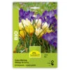 Krokus Mischung Bio Knollen -Saemereien krokus mischung bio crocus vernus bio knollen