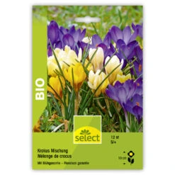 Krokus Mischung Bio Knollen
