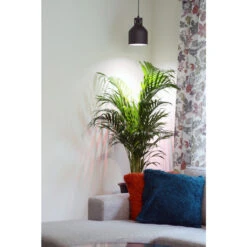 Lampenschirm SAGA Venso EcoSolution -Saemereien lampenschirm saga ohne leuchtkoerpfer vesno eco solution10