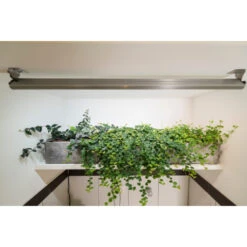 LED Spot Wall Venso EcoSolution