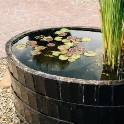 Mollex Tigermücken Stopp -Saemereien mollex tigermuecken stopp 50ml3