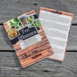 MyGärtli Tee Pflanzen Set -Saemereien mygaertli tee pflanzen samen set3