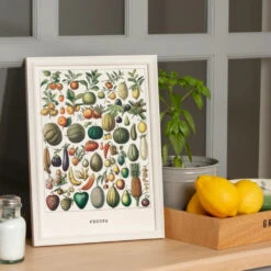 Obst Kunstdruck