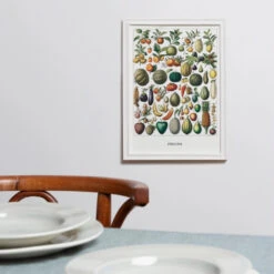 Obst Kunstdruck -Saemereien obst kunstdruck3