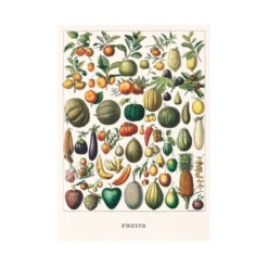 Obst Kunstdruck -Saemereien obst kunstdruck4