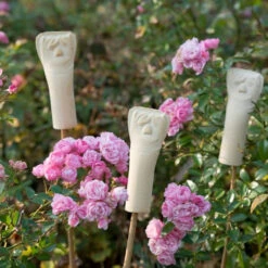 Ohrwurmhaus -Saemereien ohrwurmhaus zum biologischen pflanzenschutz 3er set3