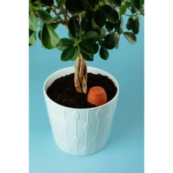 Olla M Bewässerungstontopf 7 Olla M Bewässerungstontopf -Saemereien olla m3