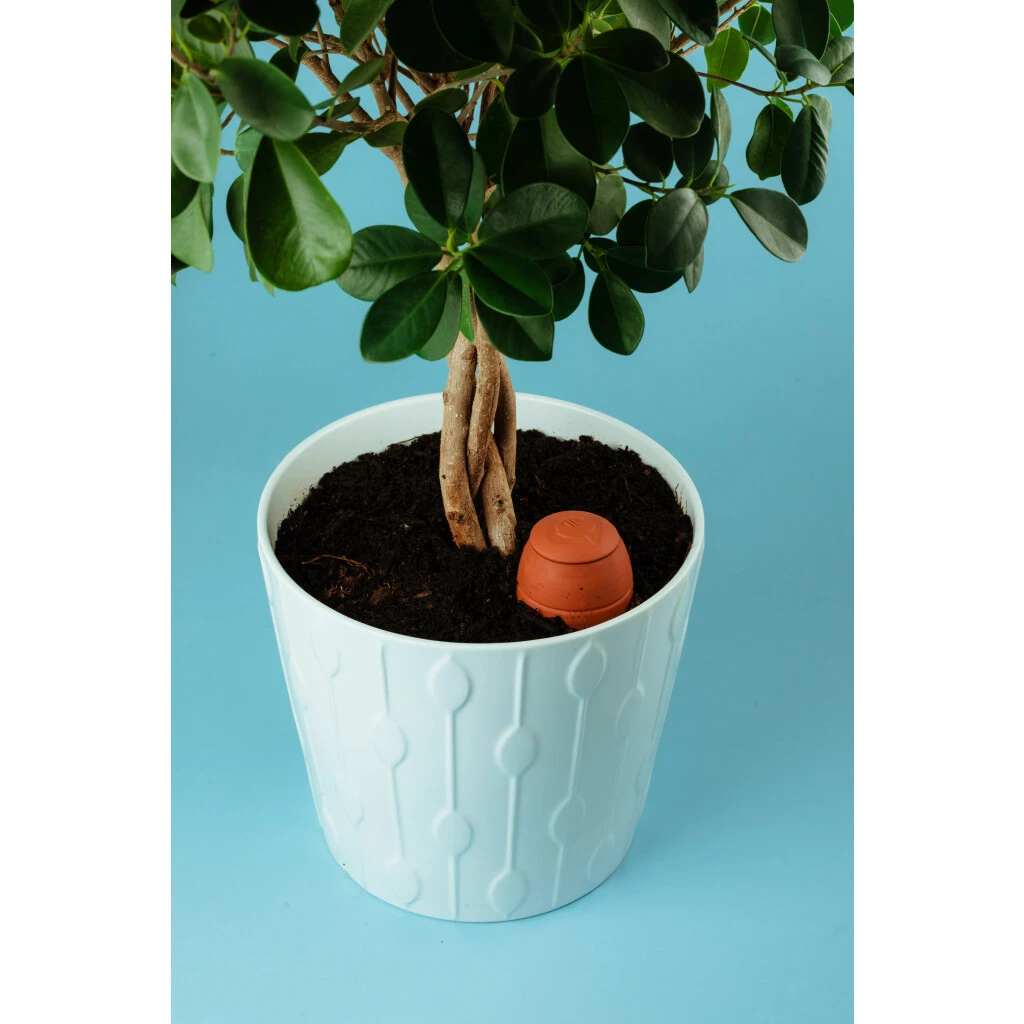 Olla M Bewässerungstontopf 5 Olla M Bewässerungstontopf – Bild 3