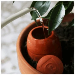 Olla XS Bewässerungstontopf 7 Olla XS Bewässerungstontopf -Saemereien olla xs3