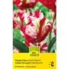 Papagei Tulpe 'Estella Rijnveld' Zwiebeln -Saemereien papagei tulpen estella rijnveld tulipa zwiebeln
