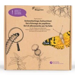 Papillonessa Aufzucht-Set