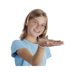 Papillonessa Aufzucht-Set -Saemereien papillonessa aufzucht set fuer schmetterlinge 7 8 raupen4