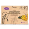 Papillonessa-Kit 2 Papillonessa-Kit -Saemereien papillonessa kit fuer die schmetterlingszucht