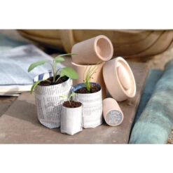 Pflanztopf Hersteller Burgon & Ball