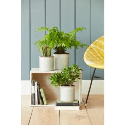 Pflanztopf Porto Grau Burgon & Ball -Saemereien pflanztopf porto grau klein burgon ball2