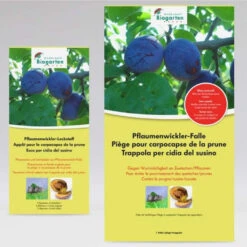 Pflaumenwickler-Falle