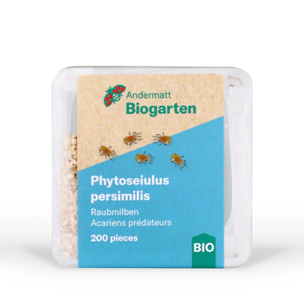 Phytoseiulus Raubmilben (Luftfeuchtigkeit über 60%) 3 Phytoseiulus Raubmilben (Luftfeuchtigkeit über 60%)