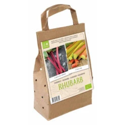 Rhabarber Bio Wurzeln 'Red Champagne' & 'Mira'