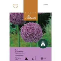 Riesen-Zierlauch Globemaster Zwiebeln