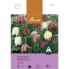 Schachbrettblume Mischung -Saemereien schachbrettblume mischung fritillaria meleagris zwiebeln