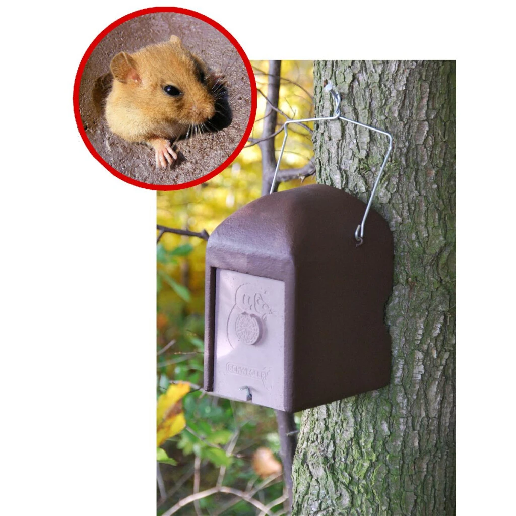 Schläferkobel 1KS (40mm) 3 Schläferkobel 1KS (40mm)