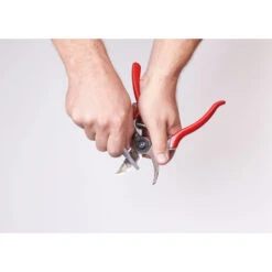 Schleifwerkzeug Felco 904 -Saemereien schleifwerzeug felco 9043