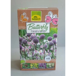 Schmetterlings-Garten Zwiebeln