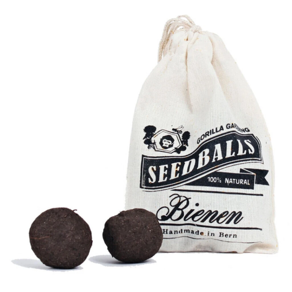 Seedballs Bienen 3 Seedballs Bienen