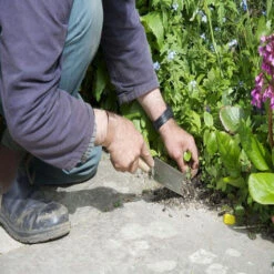 Great Dixter Kelle Sneeboer -Saemereien sneeboer great dixter kelle3