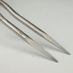 Indoor Blumengabel Sneeboer 7 Indoor Blumengabel Sneeboer -Saemereien sneeboer indoor blumengabel3