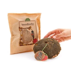 Sonnenblumenkopf Mit Samen Für Vögel -Saemereien sonnenbluemchen fuer voegel3