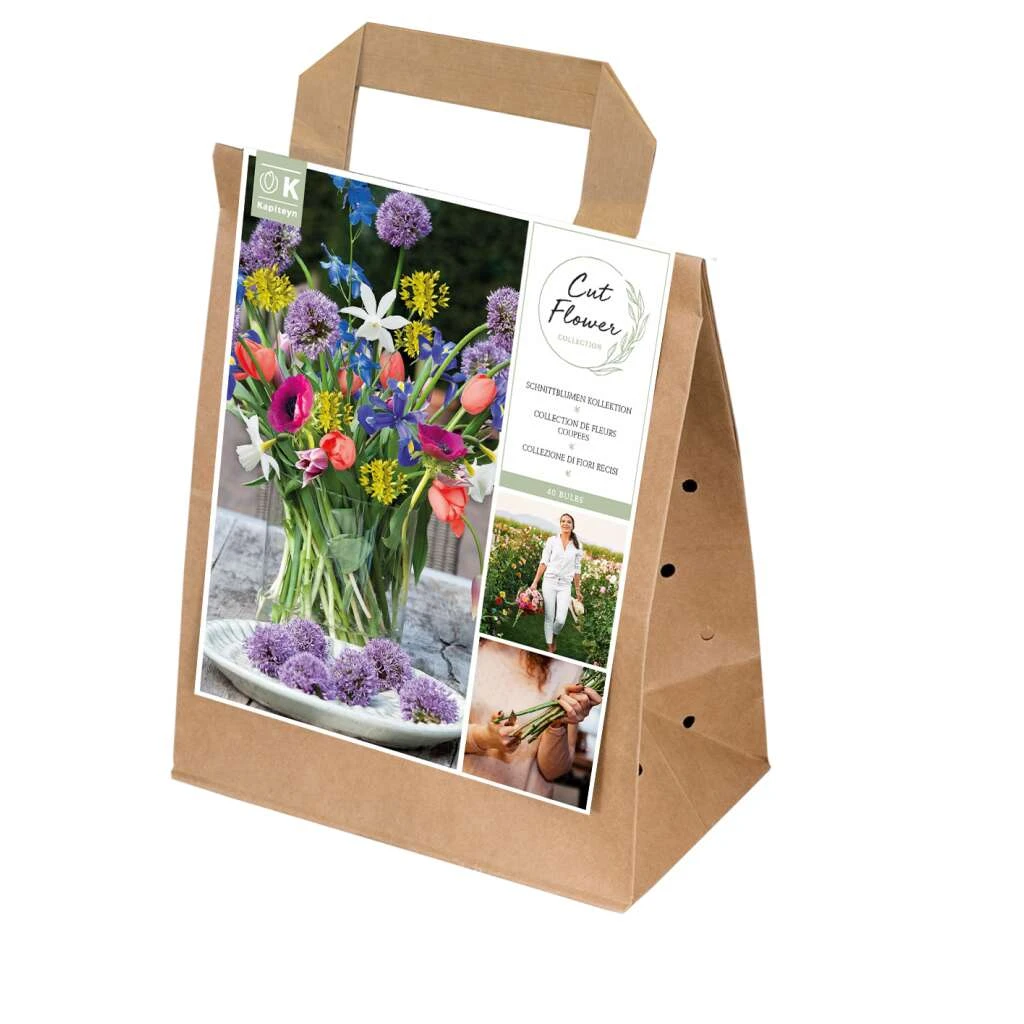 Spring Collection 'Cut Flowers' Zwiebeln 3 Spring Collection 'Cut Flowers' Zwiebeln