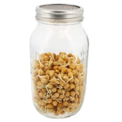 Sprossenglas -Saemereien sprossenglas eschenfelder3