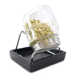 Sprossenglas Mit Abtropfschale -Saemereien sprossenglas set 1er2