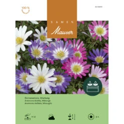 Sternanemone 'Mischung' Knollen