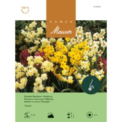 Tazetta Narzissen 'Mischung' Zwiebeln