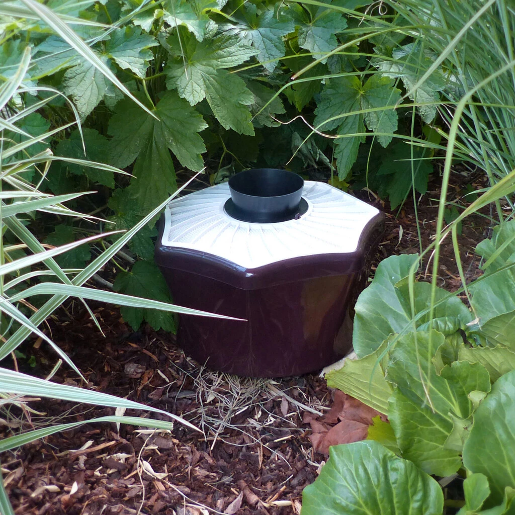 Tigermückenfalle 3 Tigermückenfalle