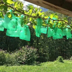 Trauben-Schutztasche