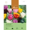 Crispa-Tulpe 'Mischung' Zwiebeln 2 Crispa-Tulpe 'Mischung' Zwiebeln -Saemereien tulpe crispa mischung tulipa zwiebeln