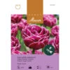 Späte, Gefüllte Tulpe 'Dream Touch' Zwiebeln 2 Späte, Gefüllte Tulpe 'Dream Touch' Zwiebeln -Saemereien tulpe dream touch zwiebeln
