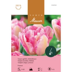 Frühe, Gefüllte Tulpe 'Foxtrot' Zwiebeln