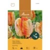 Papagei-Tulpe 'Parrot King' Zwiebeln -Saemereien tulpe parrot king tulipa zwiebeln