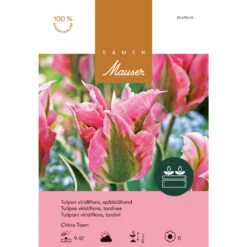 Viridiflora-Tulpe 'China Town' Zwiebeln