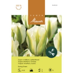 Viridiflora-Tulpe 'Spring Green' Zwiebeln
