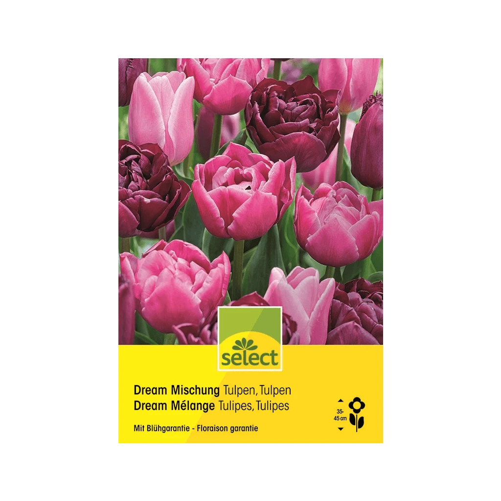 Tulpe 'Dream Mischung' Zwiebeln 3 Tulpe 'Dream Mischung' Zwiebeln