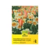 Tulpen & Narzissen 'Orange Mischung' Zwiebeln -Saemereien tulpen narzissen orange mischung tulipa narcissus zwiebeln