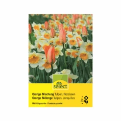 Tulpen & Narzissen 'Orange Mischung' Zwiebeln